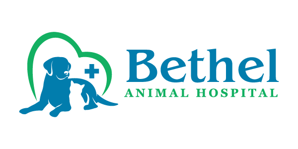 Bethel Animal Hospital