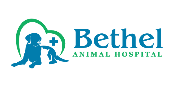 Bethel Animal Hospital