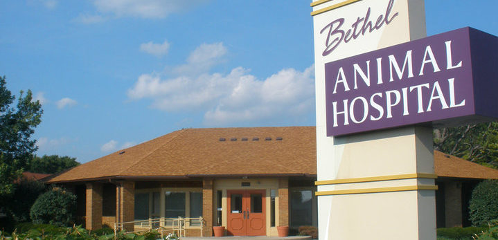 Bethel Animal Hospital Building